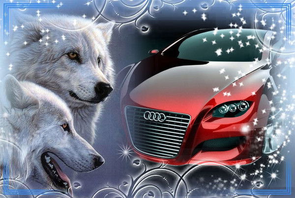 Руслан Гадылов