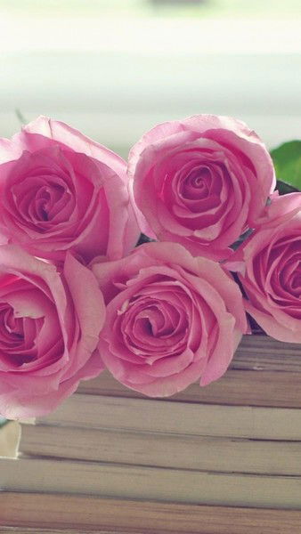 Анна Савченко