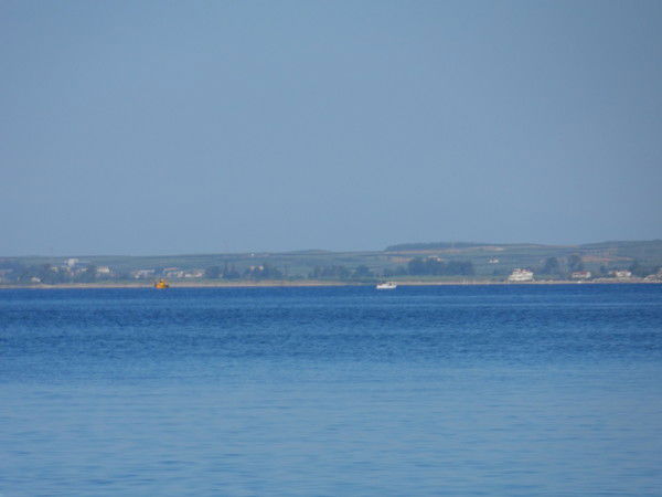 Дания Мусина