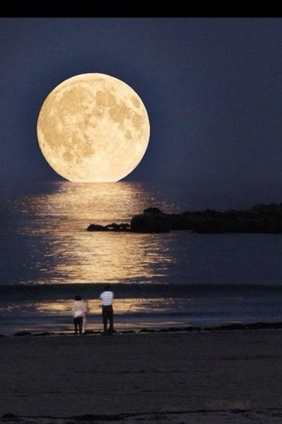 Молдир Нуржанова