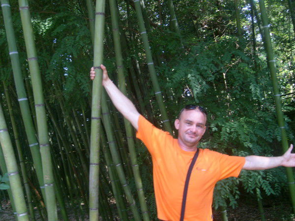 Владимир Пастухов