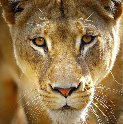 Наталья Рябова