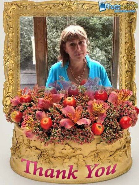 Елена Фомина