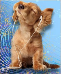 Милана Пакскина