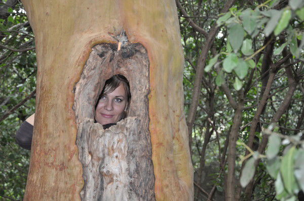 Елена Кравченко