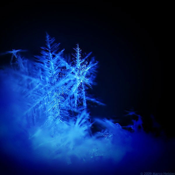 Татьяна Соболева