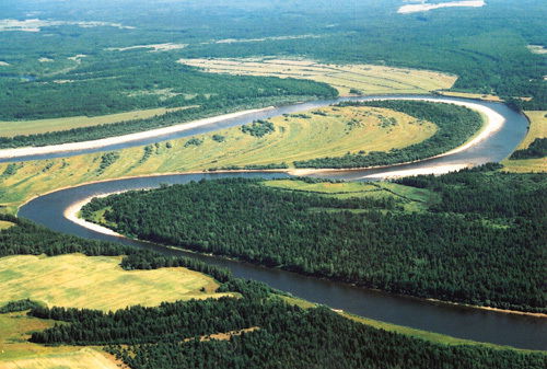 Александр Мамаев