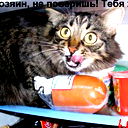 Сергей Д