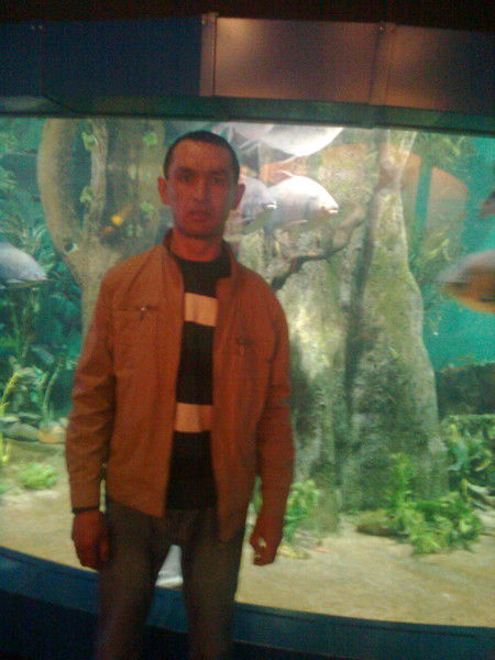 Жанат Габдулин