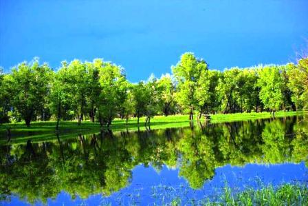 Татьяна Щукарева