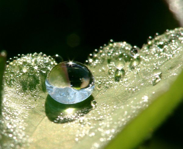 Элина Кокорева