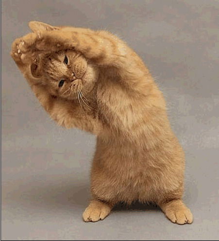 Амиго Самсонов