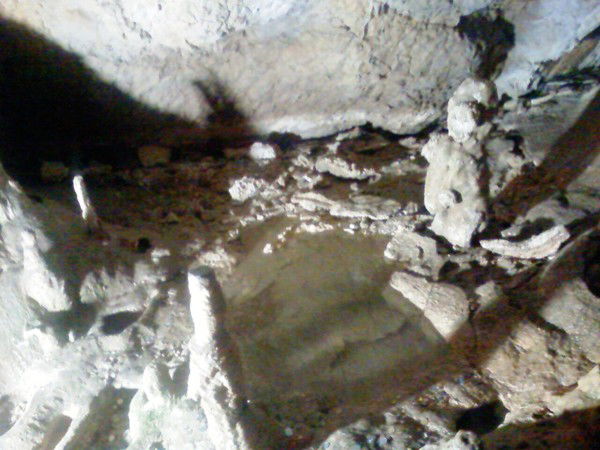 Дмитрий Луценко