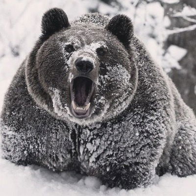 Даниил Капустин