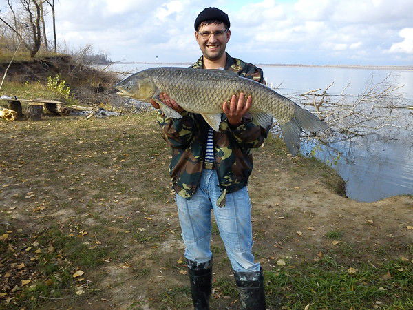 Роман Мельников