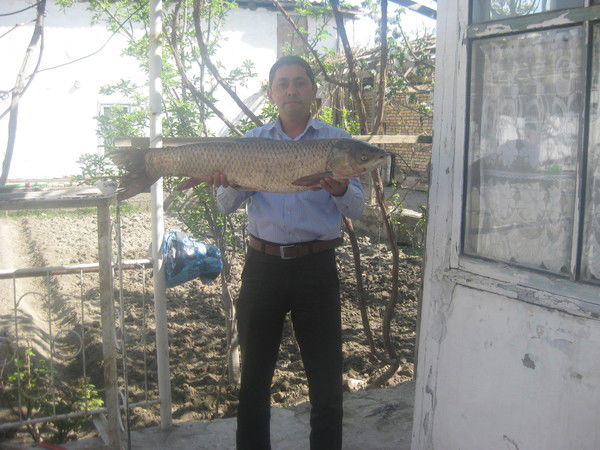 Аъзам Каюмов