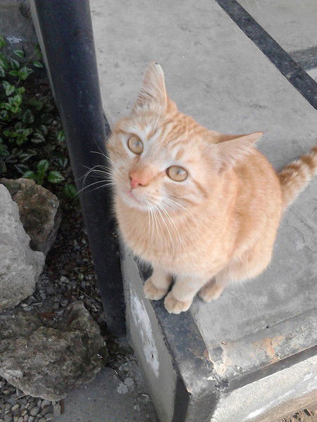 Дмитрий Рубан