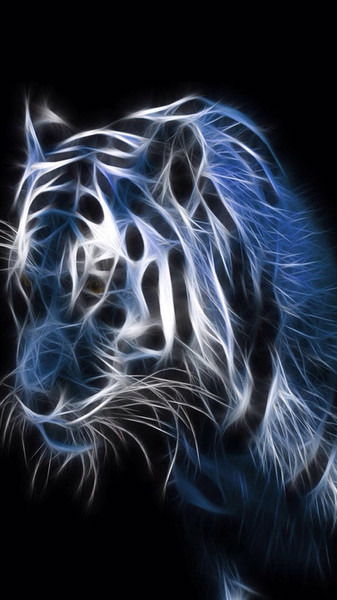 Жалгас Досымкожаулы