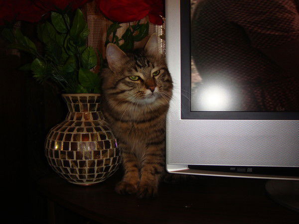 Денис Ермаков