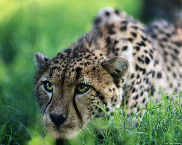 Юлия Юркеева