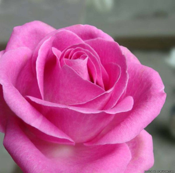 Ляззат Хайруллина