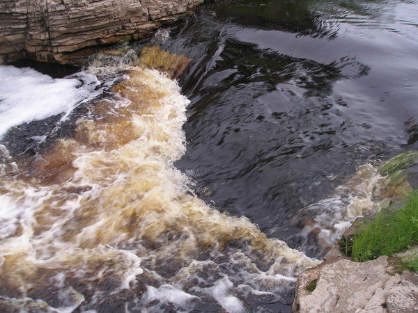 Олег Крупин