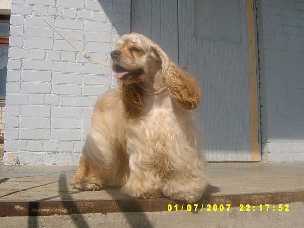 Анастася Клименкова