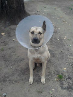 Ирина Климова