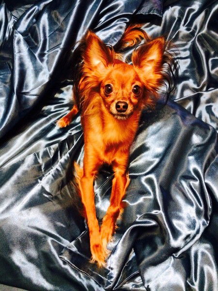 Галина Полищук