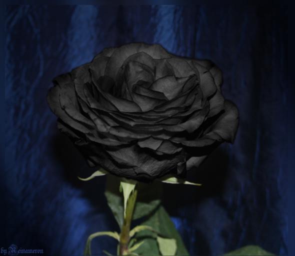 Лариса&&& *****