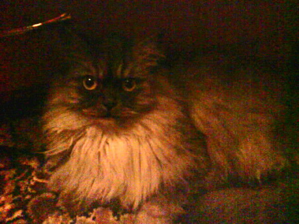 Слава Костенков