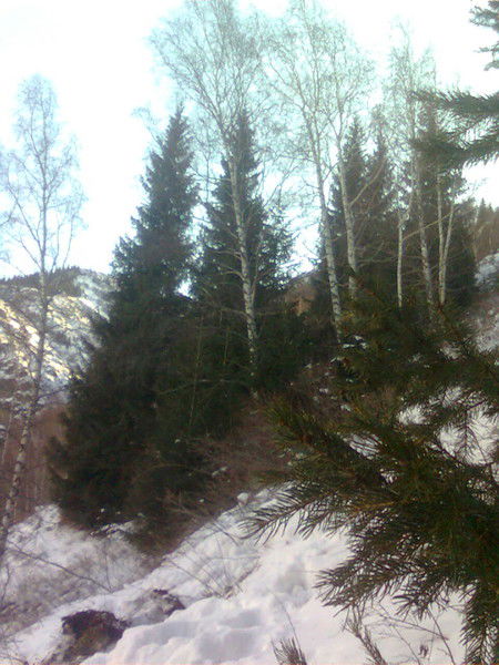 Виталий Абрамов