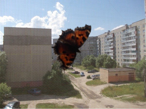 Екатерина Абдрафикова