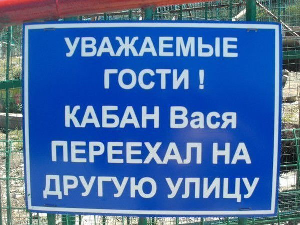 Васиф Гасымов