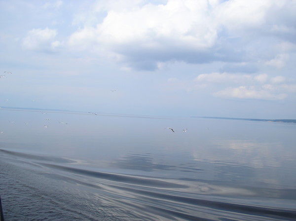 Юлия Исаева