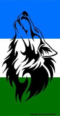 Айгиз Гарипов