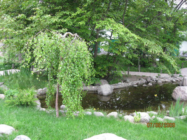 Андрей Сержанский