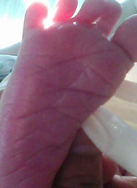 Анастасия Чегаева