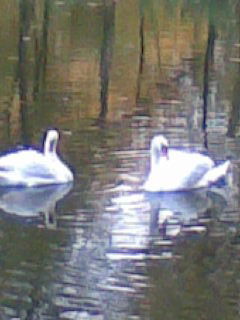 Вахтанг Типабидзе