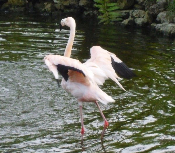 Полина Зуева