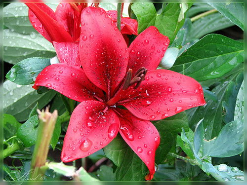 Туризма Дом