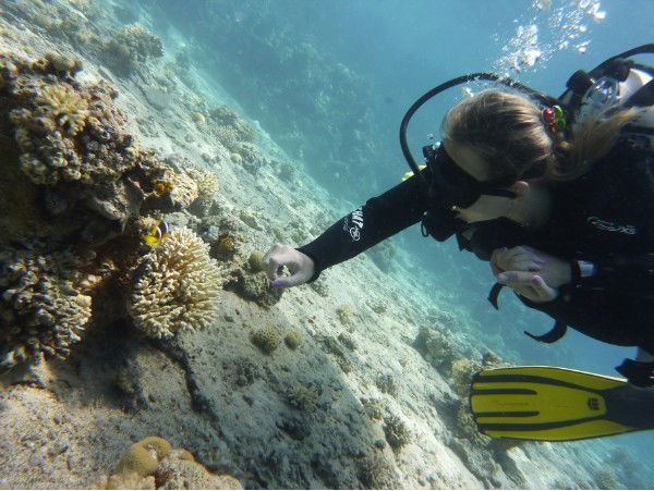 Света Сердцева