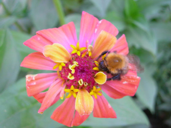 Татьяна Марченко