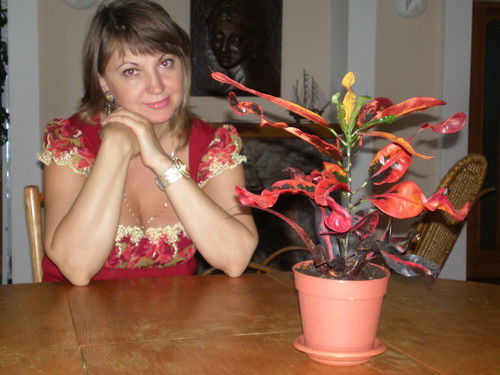 Елена Боголаева