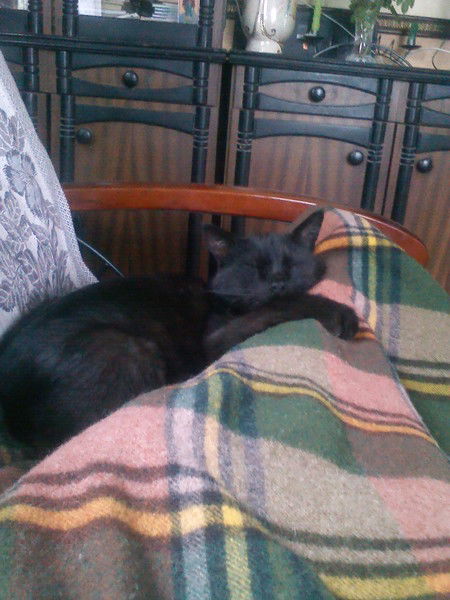 Не Известно Не Известно