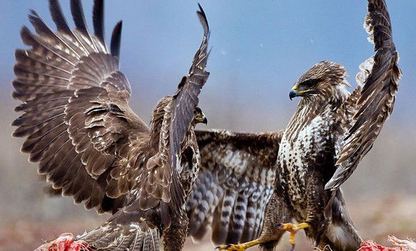 Сергей Ашихмин