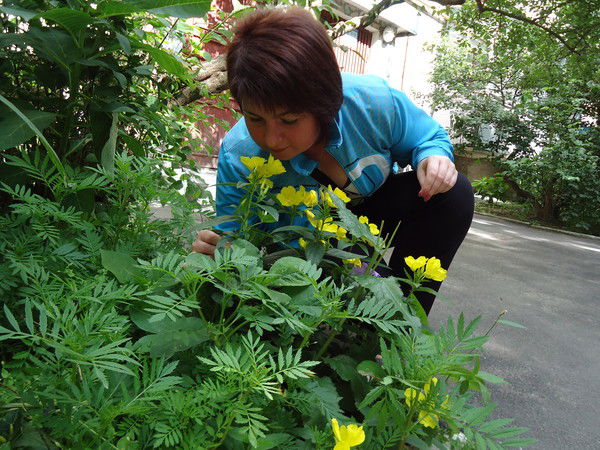 Татьяна Мисюра