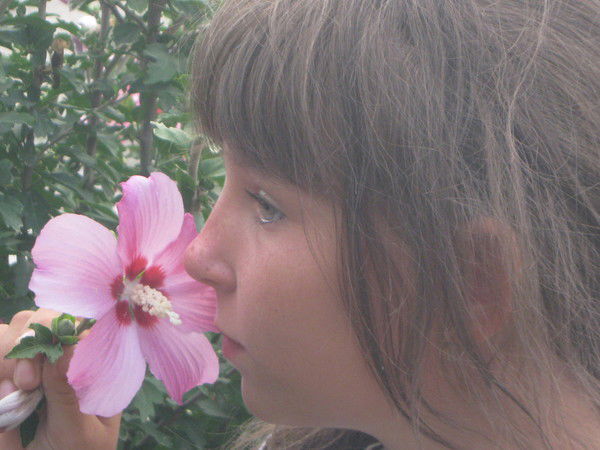 Влада Парасочка