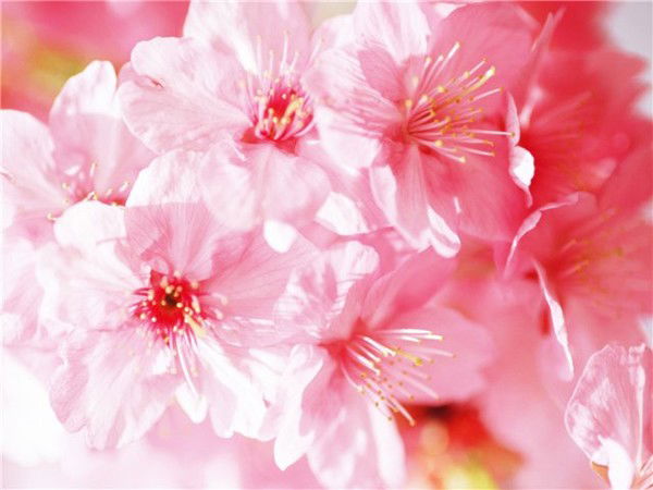 Анастасия Гладышева