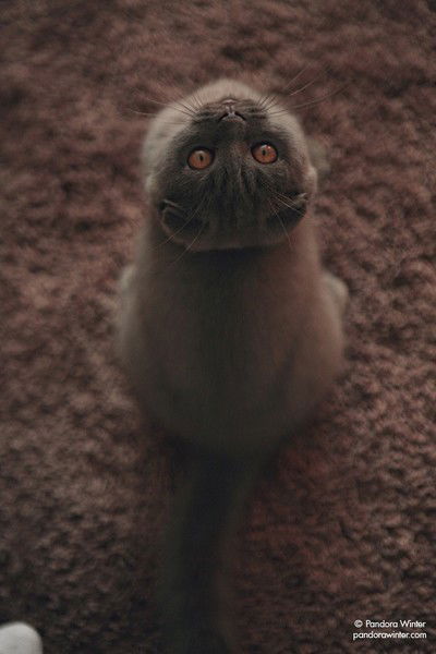 Виктория Малдур